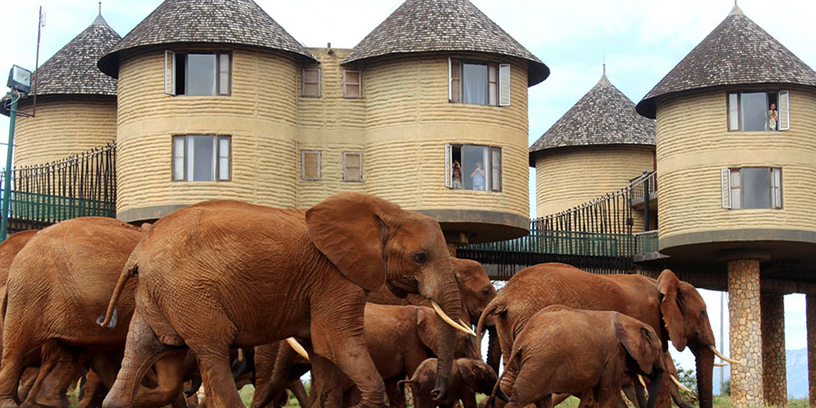 3 Days Nairobi Tsavo West Tsavo East Safari